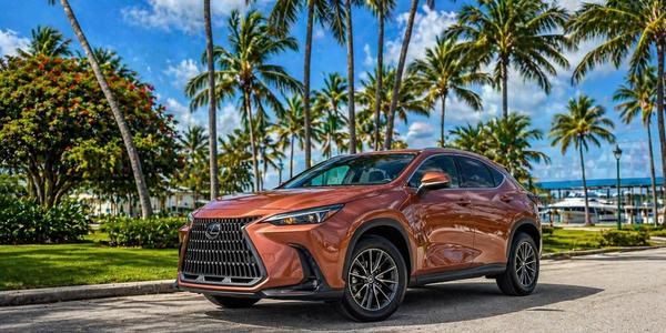 Lexus NX